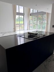 White House Residences (D10), Condominium #609478971